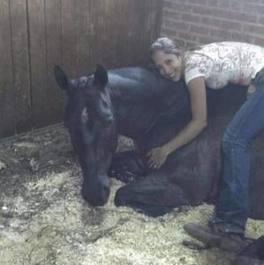 Meet your Posher, Julie